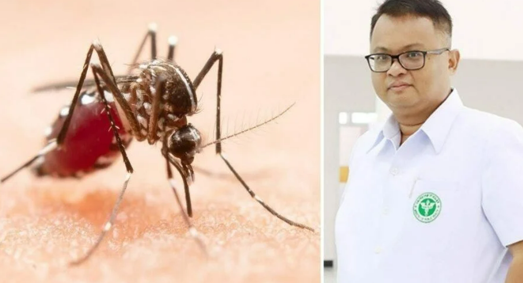 Тайский врач предупреждает, что риск лихорадки денге выше в сезон дождей