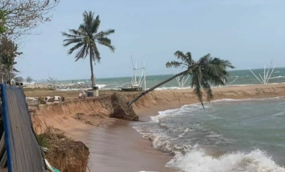 Огромные волны на юге Таиланда уничтожили пляж и 200 пальм