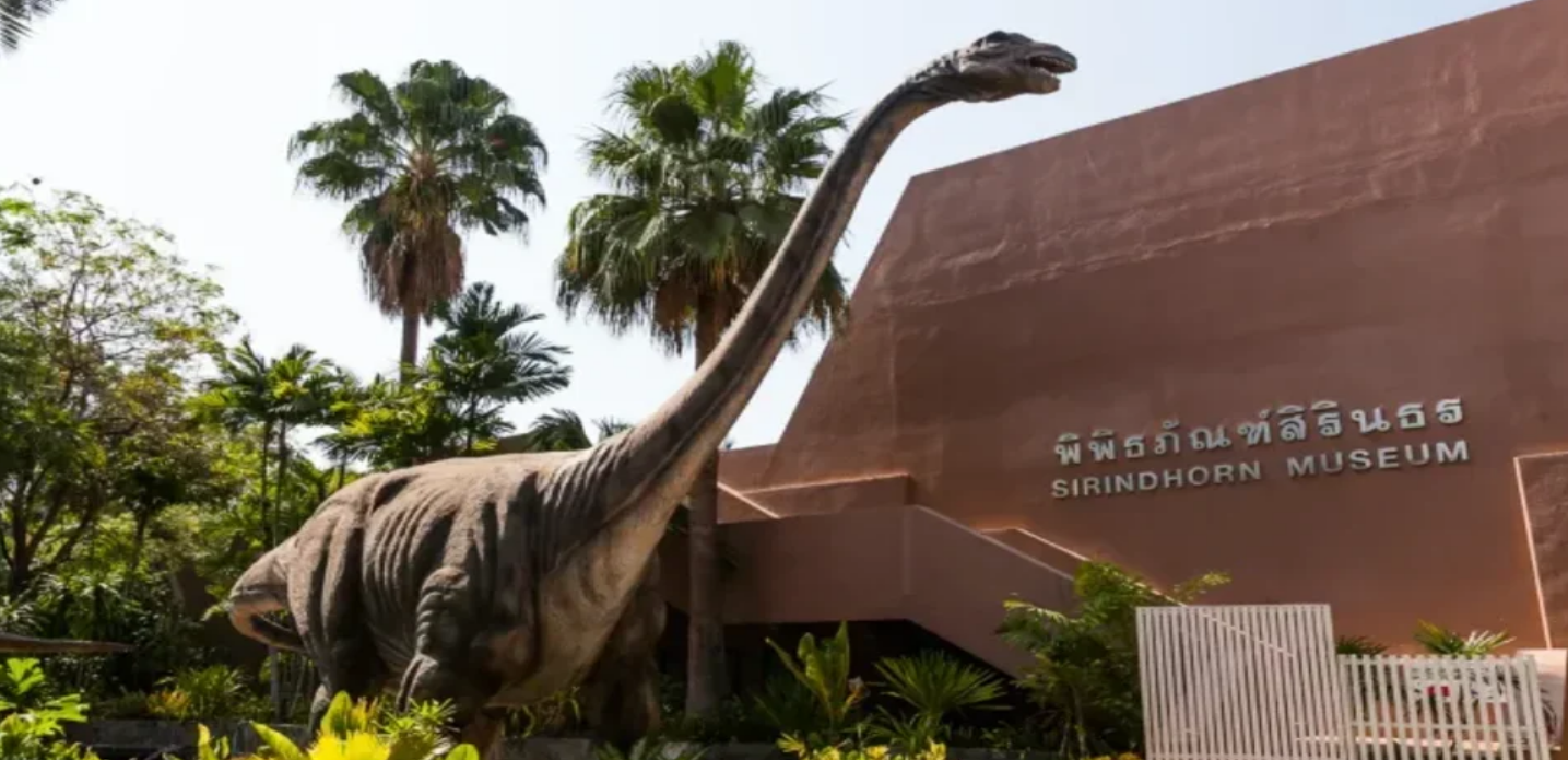 Таиланд открывает туристам путь в эпоху динозавров и гигантских деревьев
