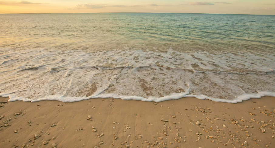 В Таиланде пляж пострадал из-за разлива нефтепродуктов