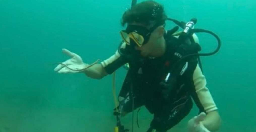 В Таиланде турист дотронулся до рыбки в море, показал на YouTube и был вызван в полицию