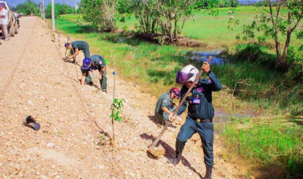 Власти провинции Кампот и NatureLife Cambodia совместно посадили около 5000 разнообразных видов деревьев