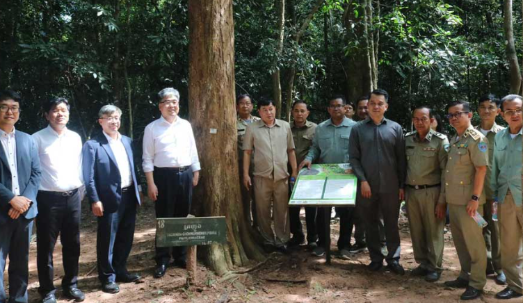 Корейская лесная служба (KFS) начали строительство «Сада АСЕАН-Корея в Камбодже»