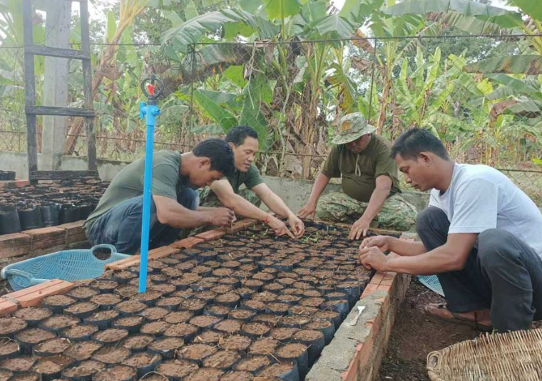 В Камбодже планируют высадить 1 млн деревьев для посадки в летний период