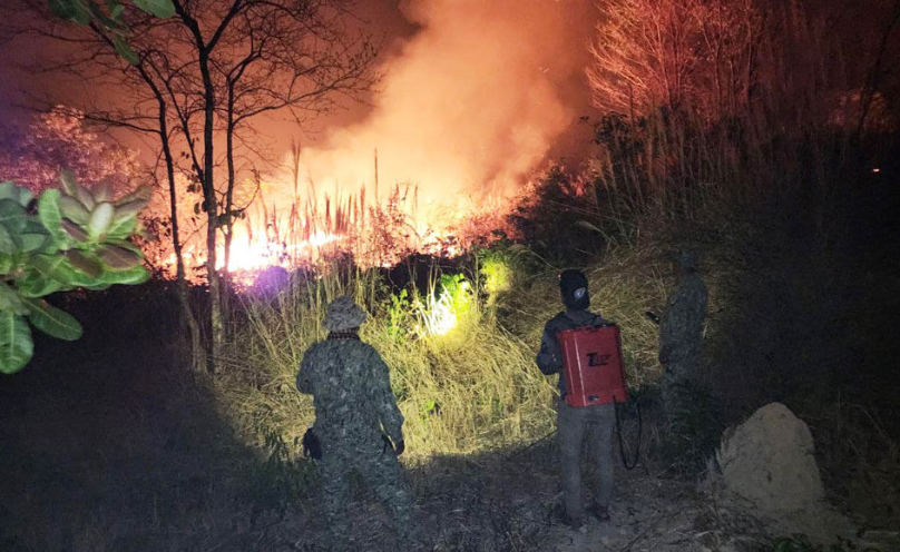 Кампотский пожар охватил 40 га национального парка Бокор