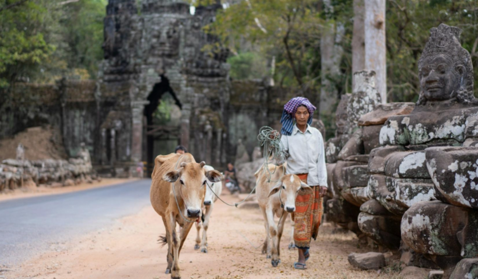 Камбоджа обновила правила въезда в страну для туристов