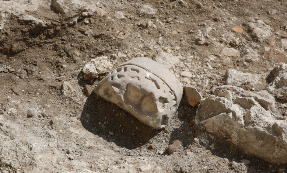В Камбодже археологи откопали многовековую черепаху