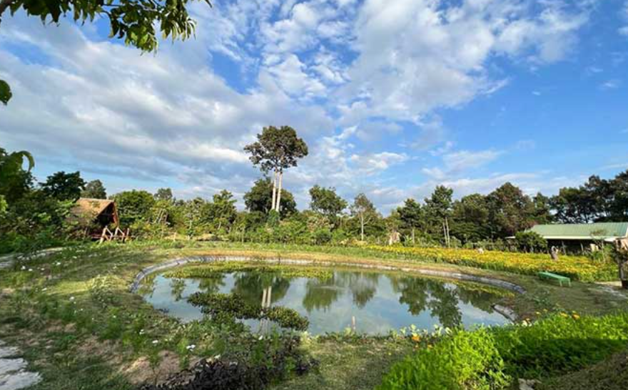 «Скрытая жемчужина» — ботанический сад Ангкора — победил в номинации «Выбор путешественников» на сайте TripAdvisor в 2024 году