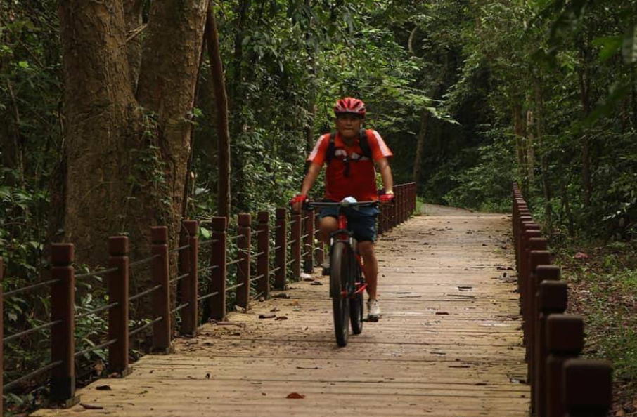 В Камбодже иностранные туристы наслаждаются велопрогулками по Ангкору