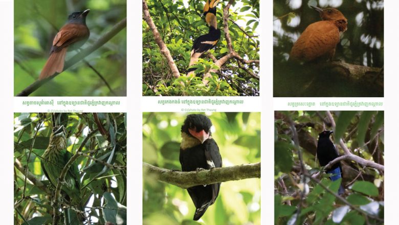 Специалисты по охране природы обнаружили 97 видов птиц в кардамонах
