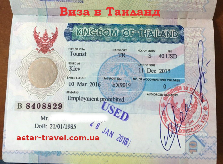 Турбизнес обратился к властям с просьбой оставить визы по прибытию бесплатными