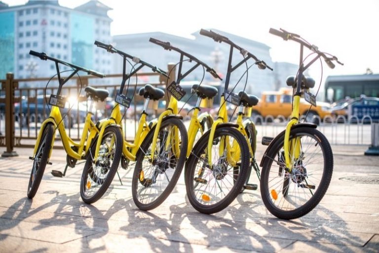 В пхукетском канале обнаружился велосипед Ofo