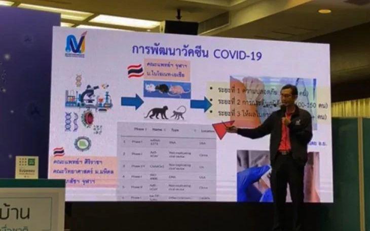 Таиланд начал тестировать вакцину против коронавируса на животных