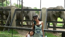 Зоопарк в Пномпене