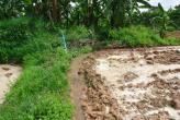 Сажаем рис в Таиланде - самоучитель! ( Planting rice in Thailand - tutorial! )