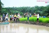 В провинции Пханг Нга реализован проект "Поддержка фермеров"