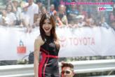 "Toyota Motor Sport 2014"