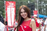 "Toyota Motor Sport 2014"