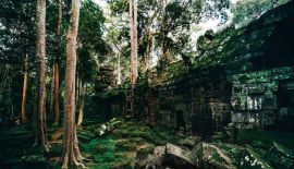 Манящая таинственность заброшенных храмов Камбоджи. Фото
