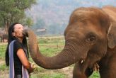 Elephant Nature Park откроется на Пхукете в августе. Центр расположится на площади в 70 рай где животные смогут свободно жить в естественных природных условиях. Посетить парк сможет любой желающий.
