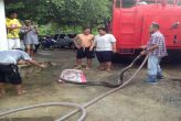 Два питона заползли в водосток жилого дома в Май-Кхао  Спасателям понадобилось два часа, чтобы извлечь змей из трубы, которую они облюбовали для спаривания