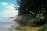 Муссоны вызвали масштабную эрозию почвы на пляже Най-Янг