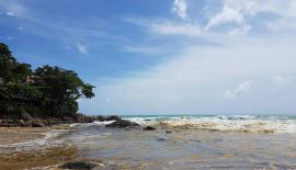 Муниципалитет Карона отверг предположения о сливе сточных вод в море. Cпециалисты университета Phuket Rajabhat University cоообщили, что вода  меняет цвет из-за обилия планктона