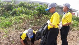 Более трех тонн мусора убрали с пляжей Най-Янг и Май-Кхао в ходе массового субботника 20 июня, этому  предшествовала волна критики в соцсетях со стороны жителей северной части Пхукета, которые массово выразили недовольство мусором на пляжах