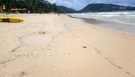 Медузы на пляже в Патонге, на Банг-Тао, Сурине и других пляжах западного побережья. Их появление – неизбежное следствие начавшихся муссонов