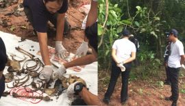 Скелет женщины обнаружили у закрытого ночного клуба в Кату.  Полицейские эксперты пытаются установить личность женщины, останки которой были обнаружены 11 июля в джунглях недалеко от ночного клуба King Kong Party Club в Кату (сейчас не работающего)