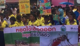 В Раваи стартовала кампания по борьбе с распространением денге. Участие в акции 11 июня принял и мэр района Арун Солос, взявший в руки «фумигатор», для борьбы с насекомыми