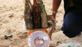 В понедельник, 5 ноября, у побережья Патонга прошел массовый подводный субботник. Участники мероприятия собрали 412 кг мусора