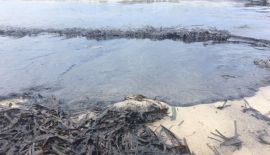 Разлив нефтепродуктов произошел около восточного побережья Пхукета. Виновник утечки морепродуктов пока не установлен, ведется проверка
