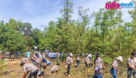 В провинции Пханг Нга  состоялось мероприятие по  сохранение лесных ресурсов дикой природы