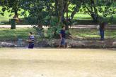 Неожиданной проблемой обернулось мероприятие по углублению озера в парке "Suan Luang Rama 9"