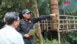 Министерство природных ресурсов и охраны окружающей среды во главе с генеральным директором Департамента лесного хозяйства провели проверку в Экстрим-парке Jungle Xtrem Adventures