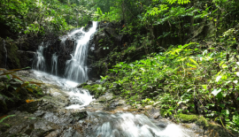 Ton Sai waterfall (Водопад Тонсай)