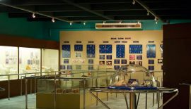 Phuket seashell museum (Музей морских раковин)