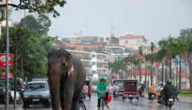 Экскурсионный тур в Пномпень: 2 дня / 1 ночь