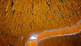 Самый длинный в мире тоннель из цветов создан в честь покойного Короля