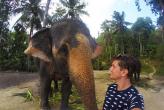 Тайский слон сделал первое в мире слоно-селфи