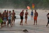 Варан устроил туристам фотосессию на пляже Ката