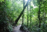 Национальный парк Кхао Пра Тео (Khao Phra Thaeo National Park)