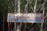 Эко-тропа «Мангровый лес — Дом обезьян»