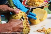 Программа поддержки фермеров Пхукета в выращивании ананасов.
