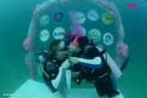 Свадьба на дне океана-  Wedding on the ocean floor