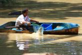 Неожиданной проблемой обернулось мероприятие по углублению озера в парке "Suan Luang Rama 9"