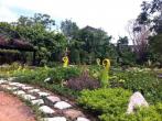 Phuket Botanic garden