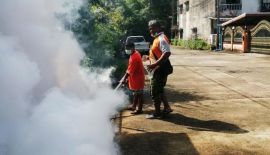 В лесных районах Таиланда распыляют инсектицидные препараты от комаров