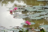 Национальный парк Кхао Пра Тео (Khao Phra Thaeo National Park)